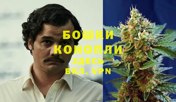 эйфоретик Вязьма