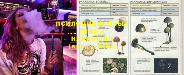 альфа пвп Вяземский