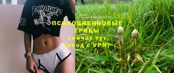крисы Вязники