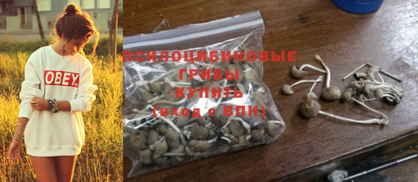 крисы Вязники