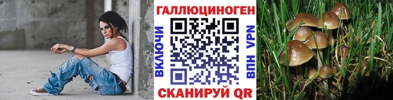 Галлюциногенные грибы Cubensis Дербент