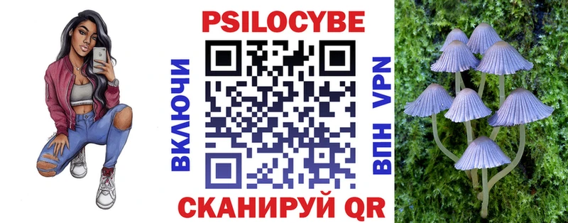 дарк нет официальный сайт  Дербент  Псилоцибиновые грибы GOLDEN TEACHER 